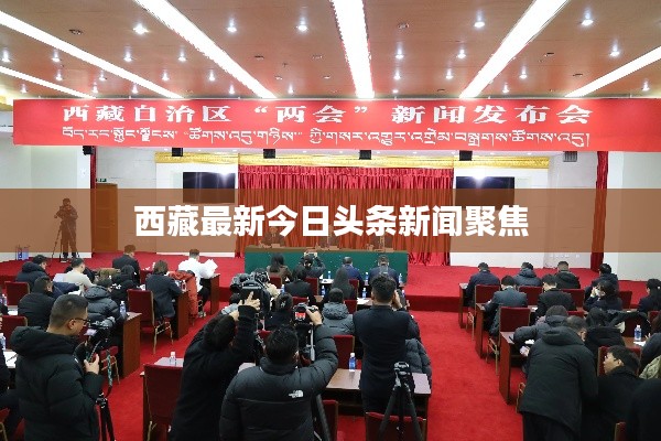 西藏最新今日头条新闻聚焦