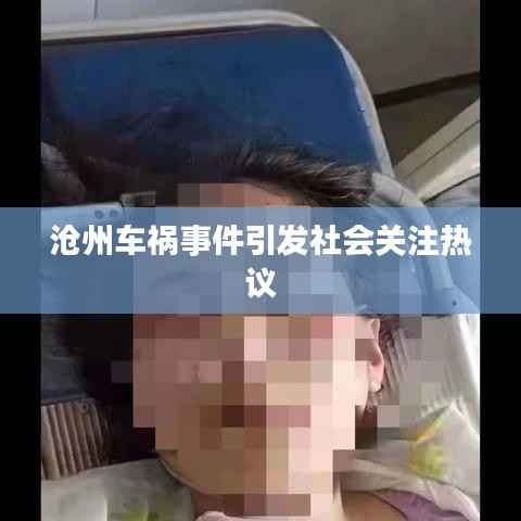 沧州车祸事件引发社会关注热议