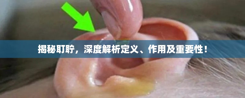 揭秘耵聍,深度解析定义、作用及重要性!