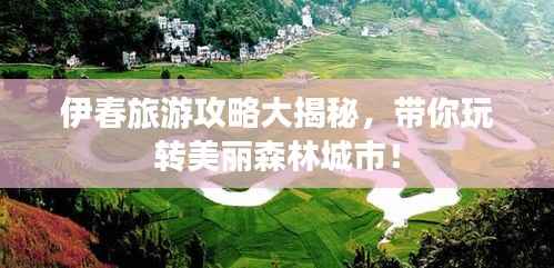 伊春旅游攻略大揭秘,带你玩转美丽森林城市!