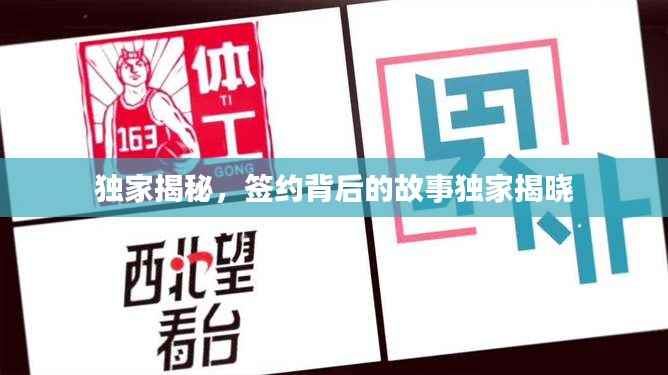 独家揭秘,签约背后的故事独家揭晓