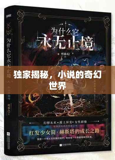 独家揭秘,小说的奇幻世界