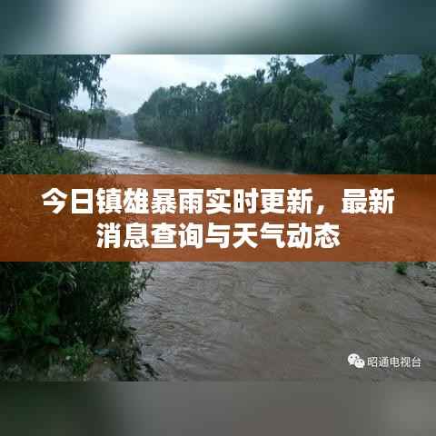 今日镇雄暴雨实时更新，最新消息查询与天气动态
