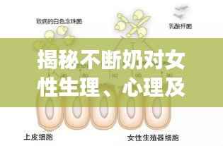 揭秘不断奶对女性生理、心理及社会影响的全面解析