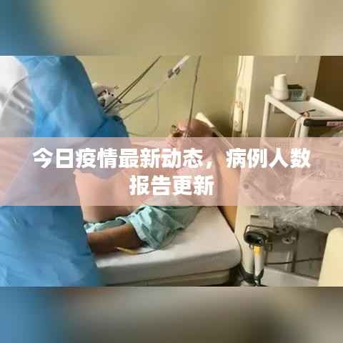 今日疫情最新动态,病例人数报告更新