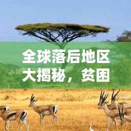 全球落后地区大揭秘,贫困现状与挑战重重