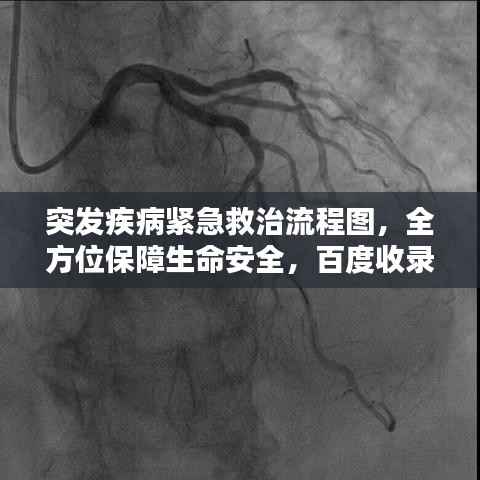 突发疾病紧急救治流程图，全方位保障生命安全，百度收录标准标题。