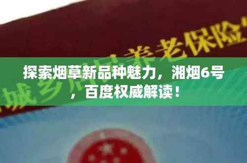 探索烟草新品种魅力，湘烟6号，百度权威解读！