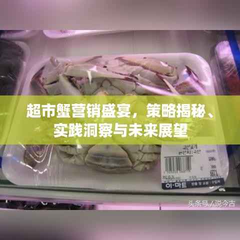 超市蟹营销盛宴，策略揭秘、实践洞察与未来展望