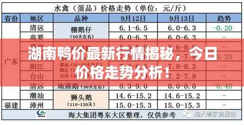湖南鸭价最新行情揭秘，今日价格走势分析！