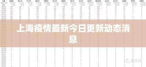 上海疫情最新今日更新动态消息