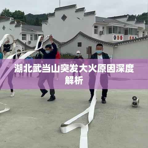 湖北武当山突发大火原因深度解析