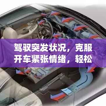 驾驭突发状况,克服开车紧张情绪,轻松应对驾驶挑战
