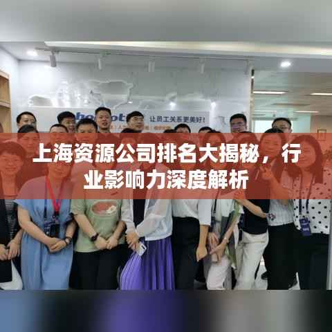 上海资源公司排名大揭秘，行业影响力深度解析
