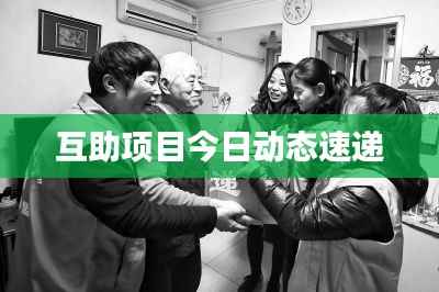 互助项目今日动态速递