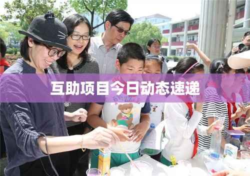 互助项目今日动态速递