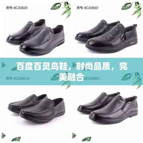 百度百灵鸟鞋,时尚品质,完美融合