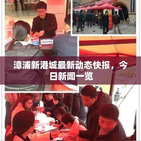 漳浦新港城最新动态快报,今日新闻一览