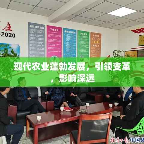现代农业蓬勃发展,引领变革,影响深远