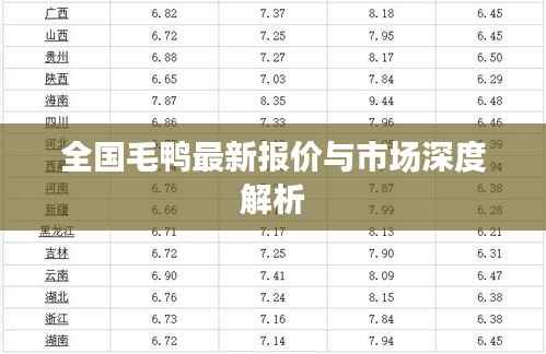 全国毛鸭最新报价与市场深度解析