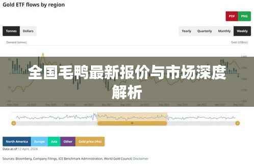 全国毛鸭最新报价与市场深度解析