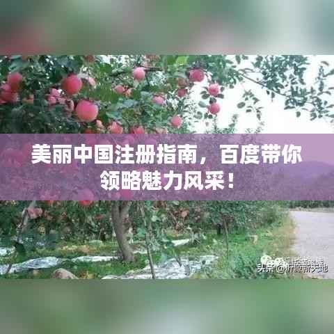 美丽中国注册指南，百度带你领略魅力风采！