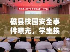 磁县校园安全事件曝光，学生挨打视频引发关注，呼吁公正处理维护校园安全最新进展