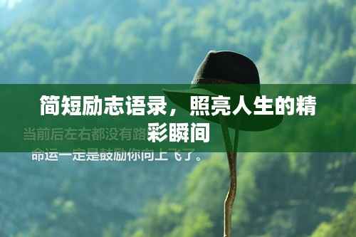 简短励志语录，照亮人生的精彩瞬间