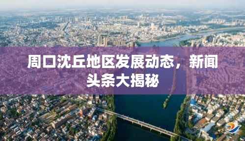 周口沈丘地区发展动态,新闻头条大揭秘