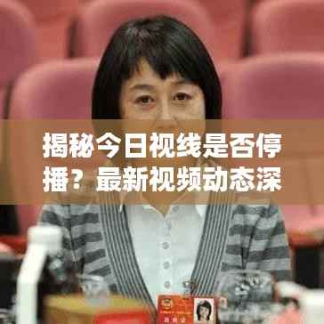 揭秘今日视线是否停播?最新视频动态深度解析!