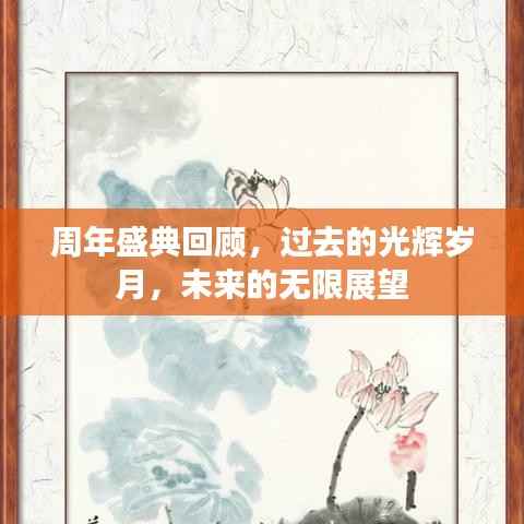 周年盛典回顾,过去的光辉岁月,未来的无限展望