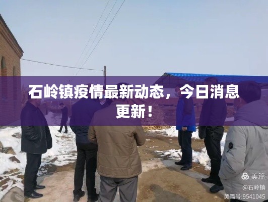 石岭镇疫情最新动态,今日消息更新!