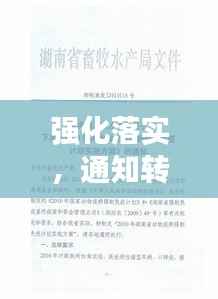 强化落实，通知转发的重要性及策略解析