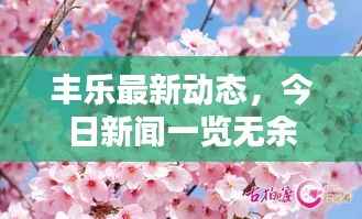 丰乐最新动态,今日新闻一览无余