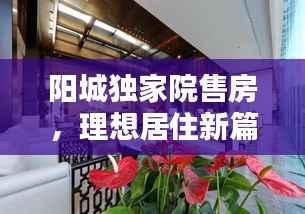 阳城独家院售房,理想居住新篇章开启!