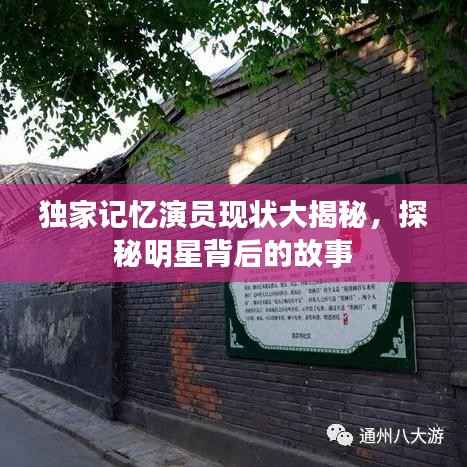 独家记忆演员现状大揭秘,探秘明星背后的故事