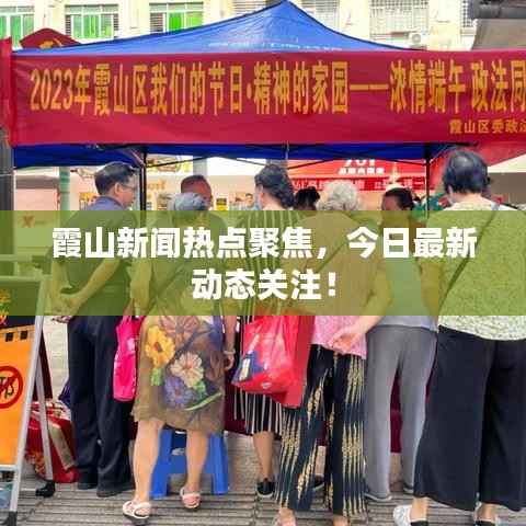 霞山新闻热点聚焦,今日最新动态关注!