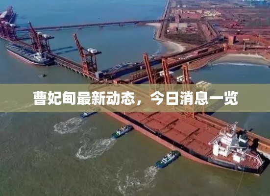 曹妃甸最新动态,今日消息一览