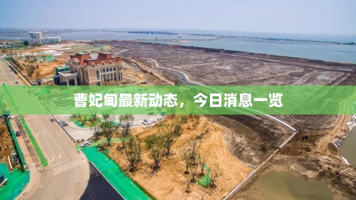 曹妃甸最新动态,今日消息一览