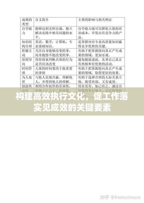 构建高效执行文化，促工作落实见成效的关键要素