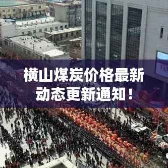 横山煤炭价格最新动态更新通知!