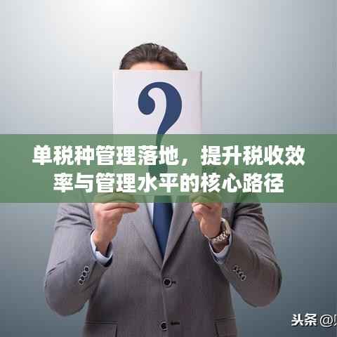 单税种管理落地，提升税收效率与管理水平的核心路径