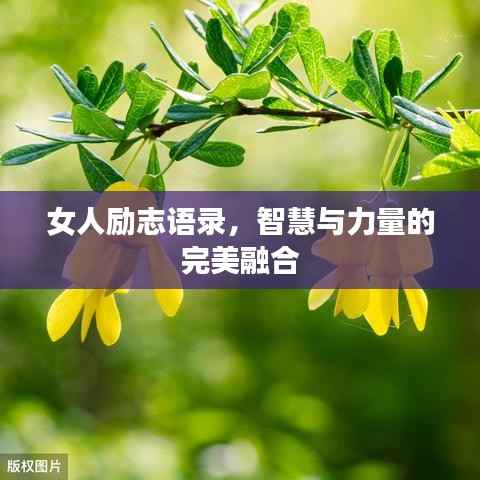 女人励志语录，智慧与力量的完美融合