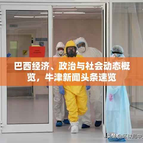 巴西经济、政治与社会动态概览,牛津新闻头条速览