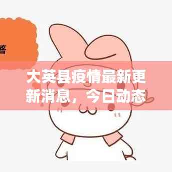 大英县疫情最新更新消息，今日动态速递