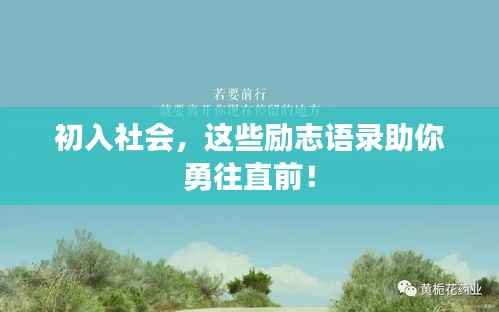 初入社会,这些励志语录助你勇往直前!