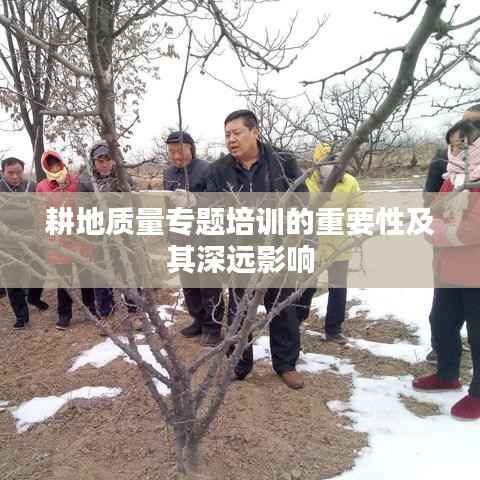 耕地质量专题培训的重要性及其深远影响