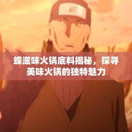 蝶滋味火锅底料揭秘,探寻美味火锅的独特魅力