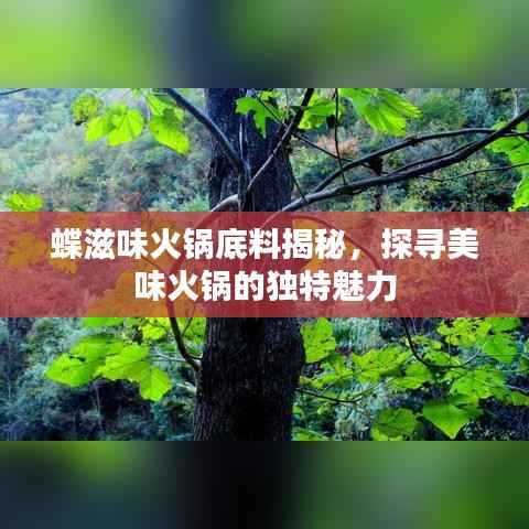 蝶滋味火锅底料揭秘,探寻美味火锅的独特魅力