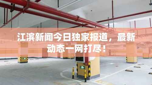 江滨新闻今日独家报道，最新动态一网打尽！